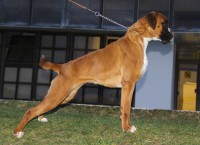 /album/fotogaleria-amanda-de-salgos/img-1986-jpg/